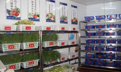 中成偉業(yè)-慶樂(lè)餐飲“零”底薪團(tuán)隊(duì)打造路演班