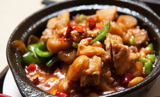 山東黃燜雞米飯培訓(xùn)費(fèi)用咨詢 聊城黃燜雞米飯培訓(xùn)費(fèi)用