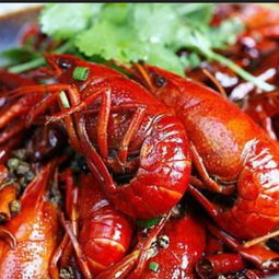 萬氏小胖子龍蝦產(chǎn)品 萬氏小胖子龍蝦產(chǎn)品圖片 萬氏小胖子龍蝦怎么樣 最新萬氏小胖子龍蝦產(chǎn)品展示 3158創(chuàng)業(yè)信息網(wǎng)