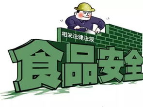 監(jiān)督網(wǎng)絡(luò)餐飲 維護食品安全