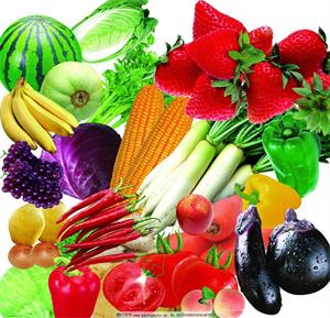 東莞旭新膳食管理 冬季養(yǎng)生多元化